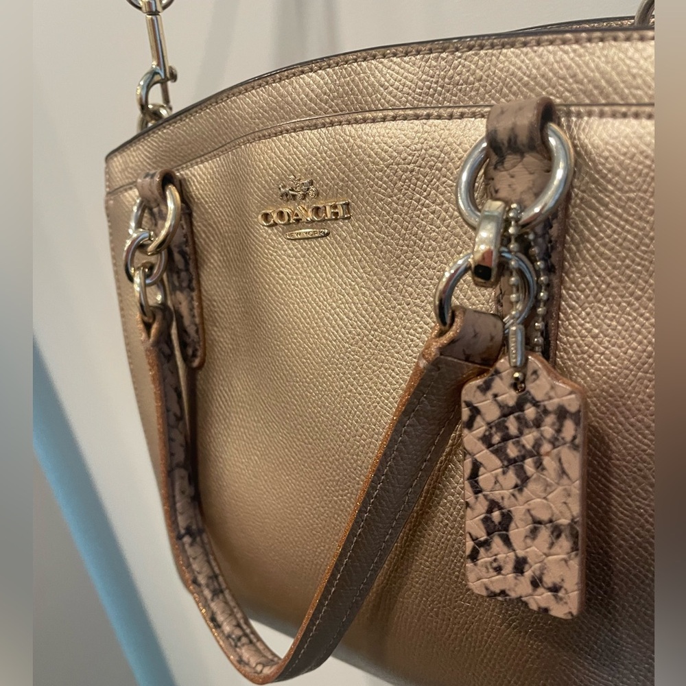 The Coach Christie Carryall in Gold/Snake print